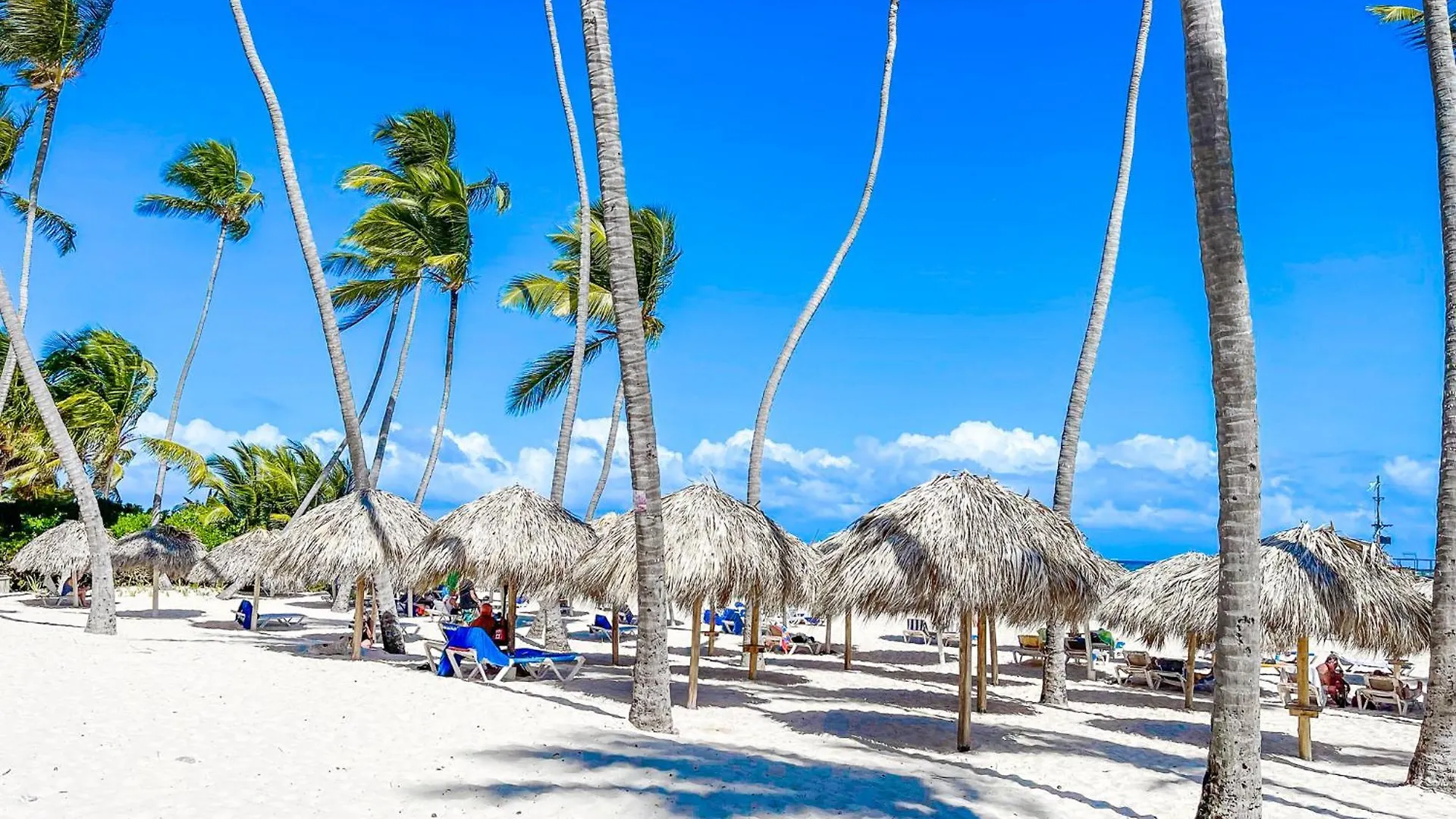 Hotel Ducassi Suite Sol Karibe Studios Suites Tropicana Bavaro Beach Club & Spa Punta Cana